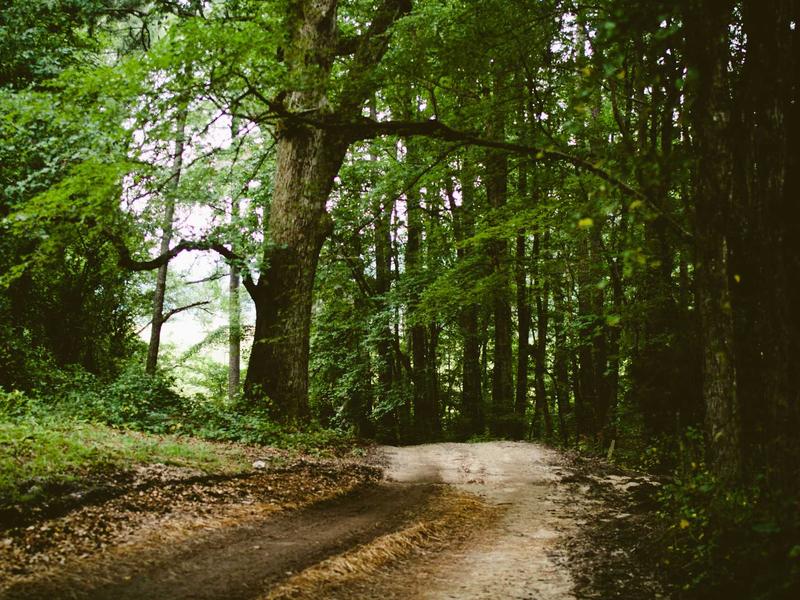 sudoku value pack screenshot 3