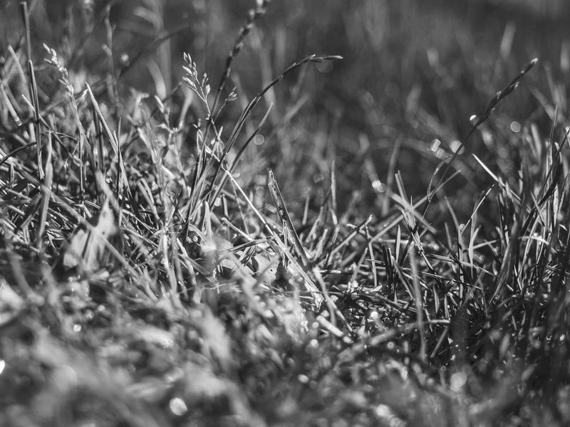 sudoku subscription plan screenshot 4